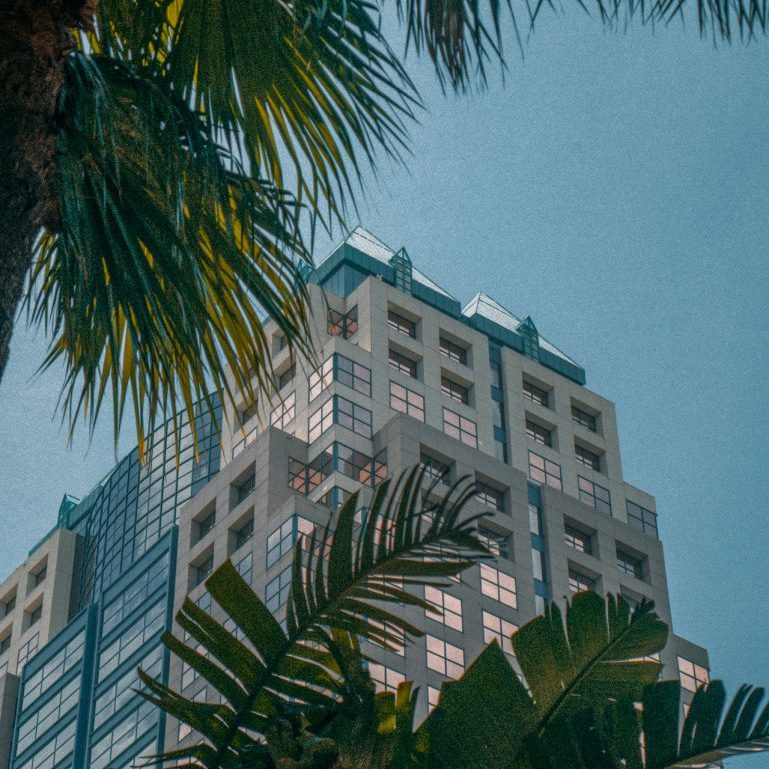 pexels-orlando